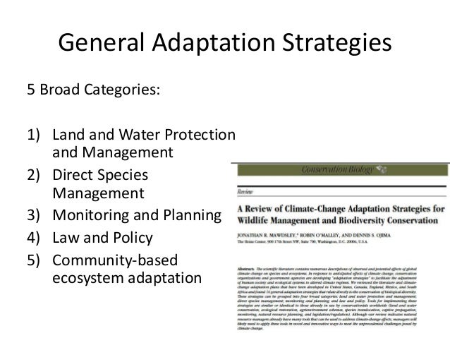 Byron biodiversity conservation strategy