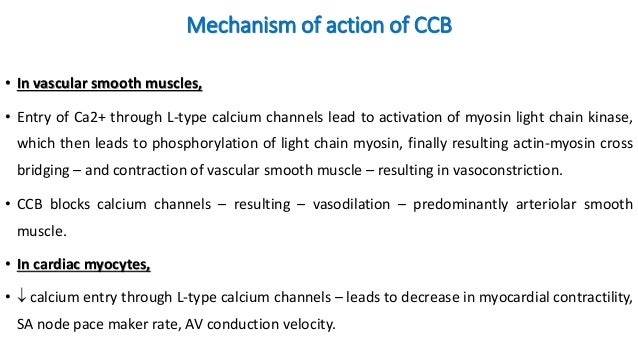 calcium channel blockers calcium channel blockers mechanism of action