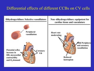 Differential effects of different CCBs on CV cells
AV
SN
AV
SN
Potential reflex
increase in
HR, myocardial
contractility
and O2 demand
Coronary
VD
Dihydropyridines: Selective vasodilators Non -dihydropyridines: equipotent for
cardiac tissue and vasculature
Heart rate
moderating
Mild Peripheral
and coronary
vasodilation
Reduced
inotropism
Peripheral
vasodilation
 