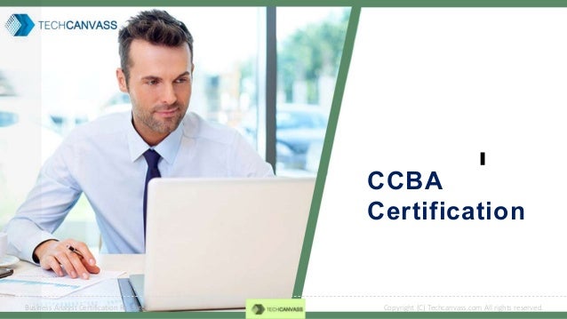 CCBA Exam Cost