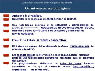 (Currículo de Educación Básica Obligatoria en Andalucía).
        (Currículo de Primaria en Andalucía).
         Orientaci...