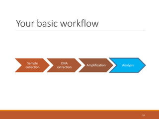 Your basic workflow
Sample
collection
DNA
extraction
Amplification Analysis
18
 