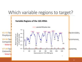 Which variable regions to target?
V1-V3 favours Prevotella, Fusobacterium, Streptococcus, Granulicatella, Bacteroides,
Porphyromonas and Treponema
V4-V6 favours Streptococcus, Treponema, Prevotella, Eubacterium, Porphyromonas,
Campylobacter and Enterococcus.
◦ failed to detect Fusobacterium
V7-V9 favours Veillonella, Streptococcus, Eubacterium, Enterococcus, Treponema,
Catonella and Selenomonas.
◦ failed to detect Selenomonas, TM7 and Mycoplasma
22
 