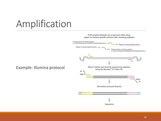 Amplification
Example: Illumina protocol
24
 