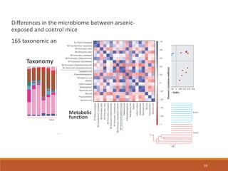 59
Differences in the microbiome between arsenic-
exposed and control mice
16S taxonomic analysis + metametabolomics
Taxonomy
Metabolic
function
 