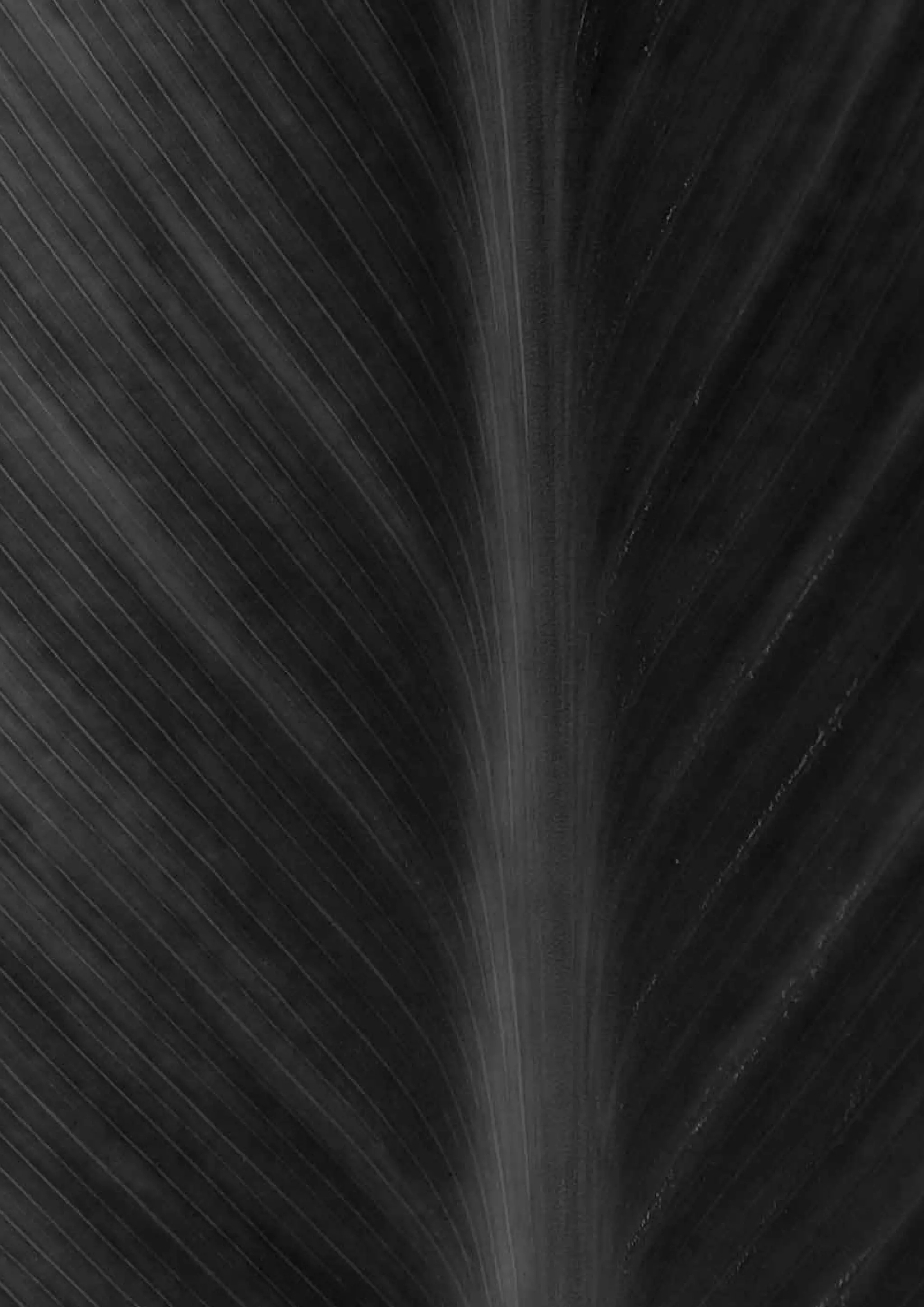 21Capital Confidence Barometer |
 