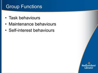 Group Functions
• Task behaviours
• Maintenance behaviours
• Self-interest behaviours
 