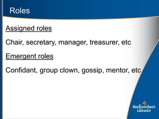 Roles
Assigned roles
Chair, secretary, manager, treasurer, etc
Emergent roles
Confidant, group clown, gossip, mentor, etc
 