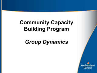 Community Capacity
Building Program
Group Dynamics
 