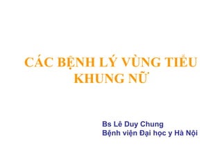 CÁC BỆNH LÝ VÙNG TIỂU
KHUNG NỮ
Bs Lê Duy Chung
Bệnh viện Đại học y Hà Nội
 