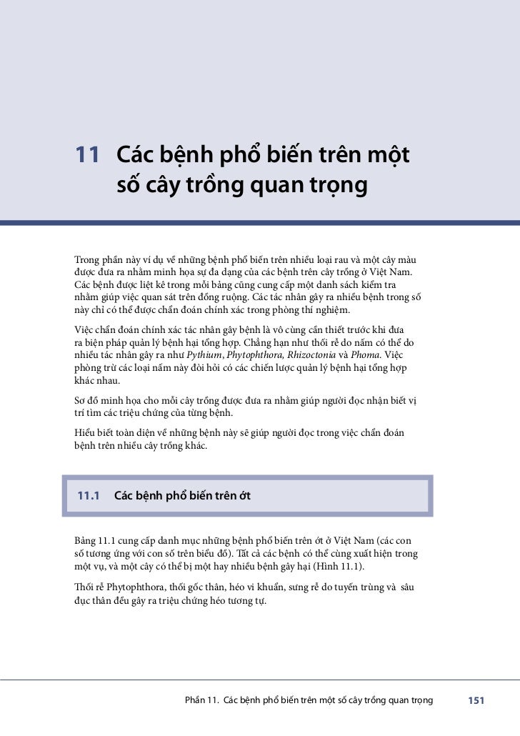 Video phŐ biżn Video phŐ biżn