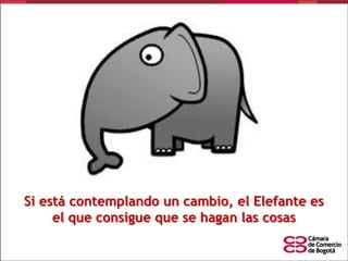 Si está contemplando un cambio, el Elefante es
el que consigue que se hagan las cosas

 