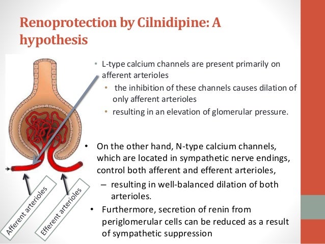 Calcium Channel Blockers in Hypertension
