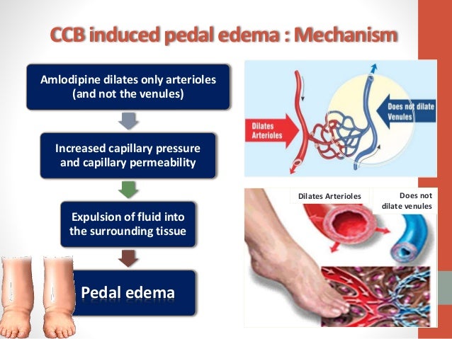 does amlodipine besylate cause fluid retention