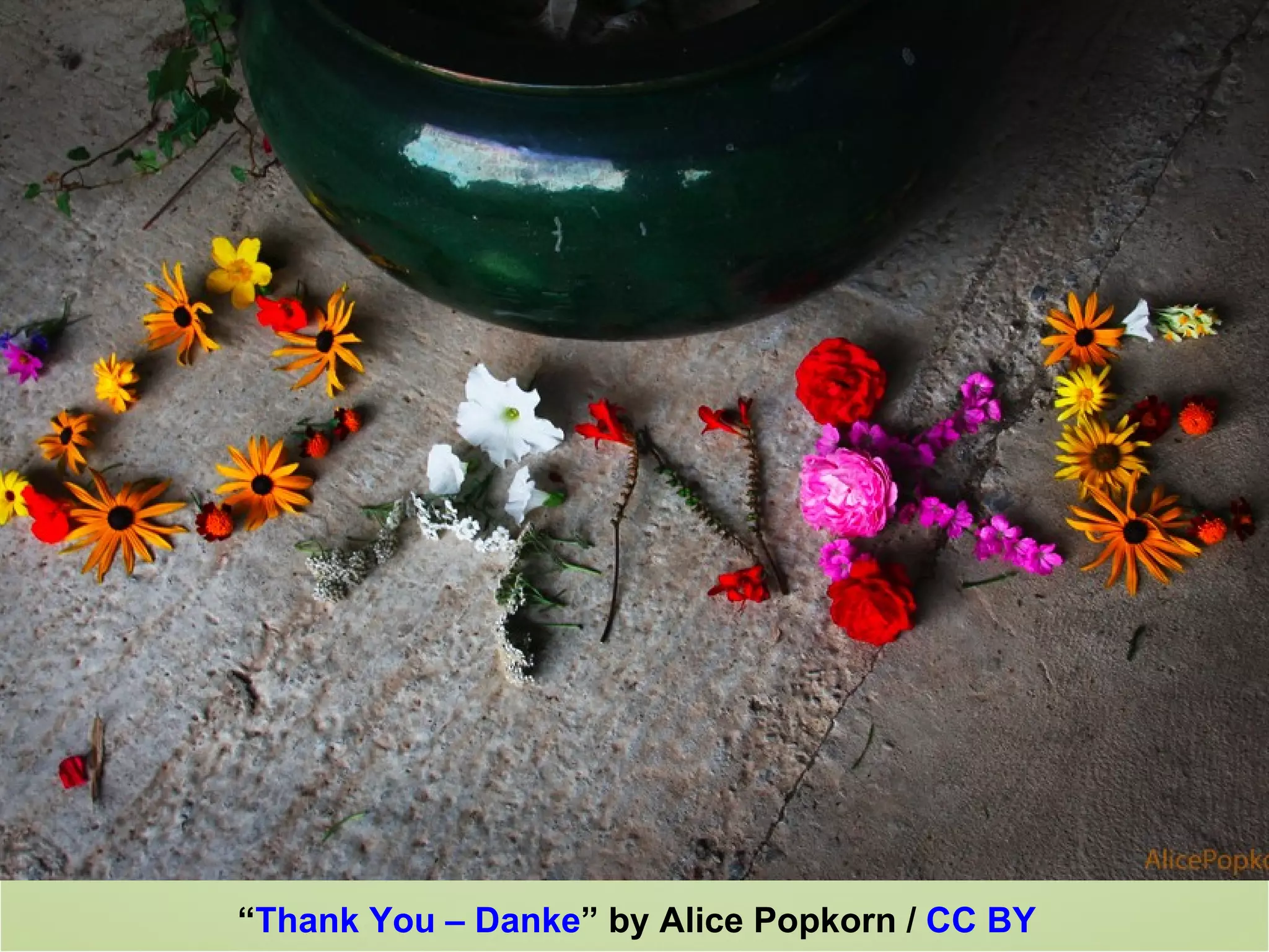 Thank you!




“Thank You – Danke” by Alice Popkorn / CC BY
 