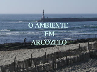 O AMBIENTE  EM ARCOZELO 