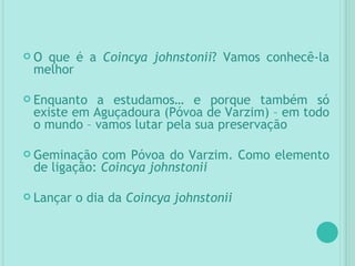 O que é a  Coincya johnstonii ? Vamos conhecê-la melhor Enquanto a estudamos… e porque também só existe em Aguçadoura (Póvoa de Varzim) – em todo o mundo – vamos lutar pela sua preservação Geminação com Póvoa do Varzim. Como elemento de ligação:  Coincya johnstonii Lançar o dia da  Coincya johnstonii 