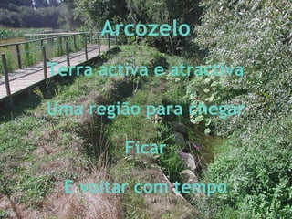 Arcozelo Terra activa e atractiva Uma região para chegar Ficar E voltar com tempo 