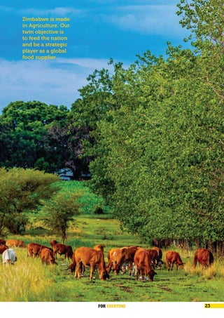 FOREVER
YONE 23
A New Great Zimbabwe
Zimbabwe is made
in Agriculture. Our
twin objective is
to feed the nation
and be a strategic
player as a global
food supplier.
FOR EVERYONE 23
 