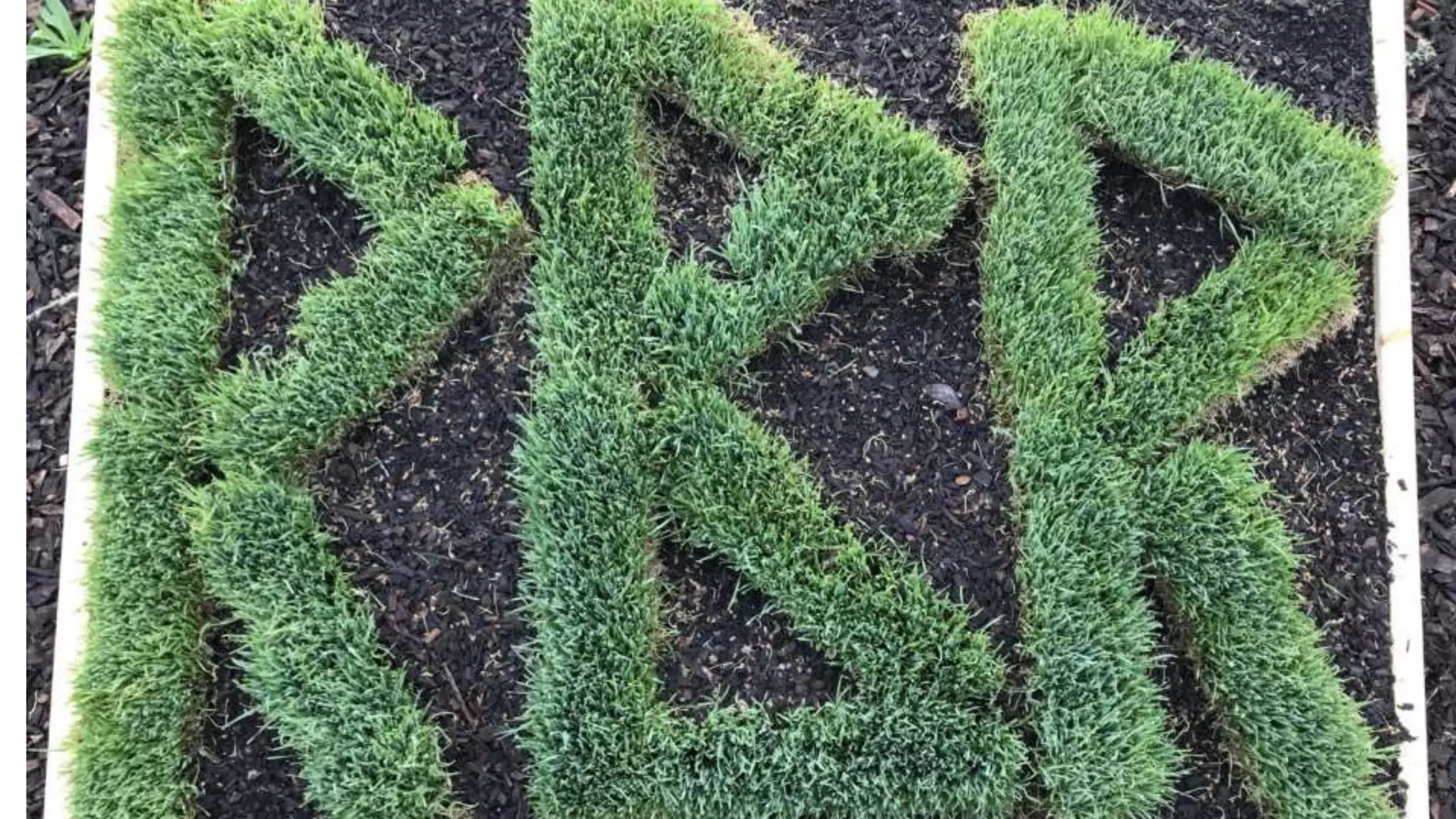 Rust Belt Riders Soil Presentation | PPTX