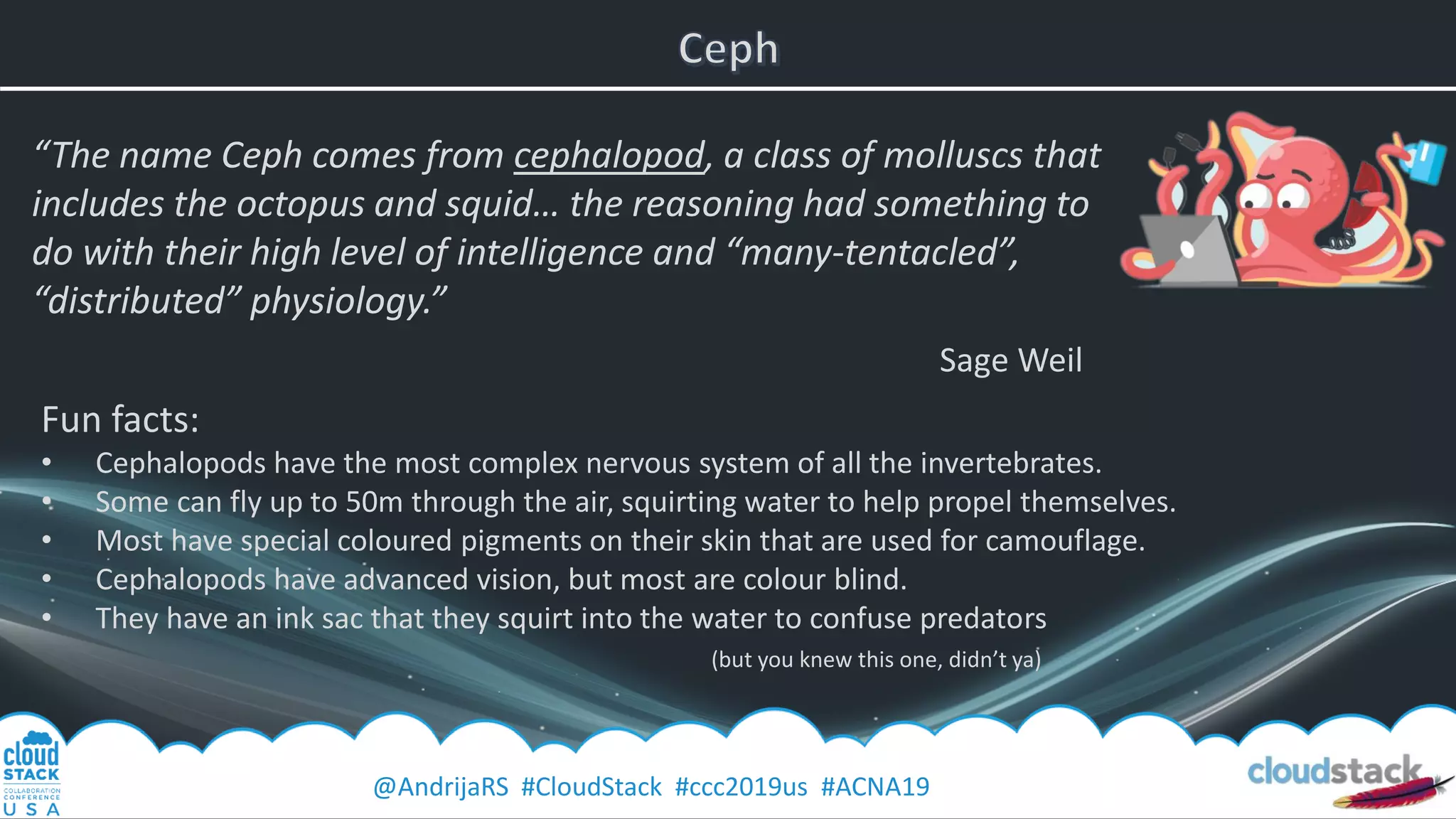 @AndrijaRS #CloudStack #ccc2019us #ACNA19
“The name Ceph comes from cephalopod, a class of molluscs that
includes the octopus and squid… the reasoning had something to
do with their high level of intelligence and “many-tentacled”,
“distributed” physiology.”
Sage Weil
Fun facts:
• Cephalopods have the most complex nervous system of all the invertebrates.
• Some can fly up to 50m through the air, squirting water to help propel themselves.
• Most have special coloured pigments on their skin that are used for camouflage.
• Cephalopods have advanced vision, but most are colour blind.
• They have an ink sac that they squirt into the water to confuse predators
(but you knew this one, didn’t ya)
 