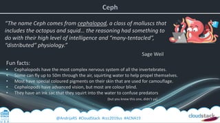 @AndrijaRS #CloudStack #ccc2019us #ACNA19
“The name Ceph comes from cephalopod, a class of molluscs that
includes the octopus and squid… the reasoning had something to
do with their high level of intelligence and “many-tentacled”,
“distributed” physiology.”
Sage Weil
Fun facts:
• Cephalopods have the most complex nervous system of all the invertebrates.
• Some can fly up to 50m through the air, squirting water to help propel themselves.
• Most have special coloured pigments on their skin that are used for camouflage.
• Cephalopods have advanced vision, but most are colour blind.
• They have an ink sac that they squirt into the water to confuse predators
(but you knew this one, didn’t ya)
 