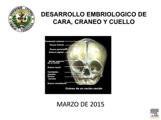 DESARROLLO EMBRIOLOGICO DE
CARA, CRANEO Y CUELLO
MARZO DE 2015
 