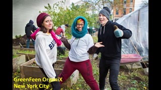 GreenFeen OrganiX
New York City
 