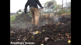 FoodShare Toronto
 