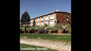 FoodShare Toronto
 