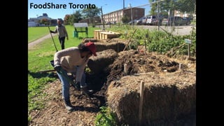 FoodShare Toronto
 