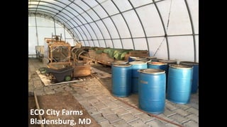 ECO City Farms
Bladensburg, MD
 