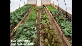 ECO City Farms
Bladensburg, MD
 