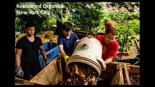 Reclaimed Organics
New York City
 