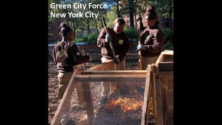 Green City Force
New York City
 