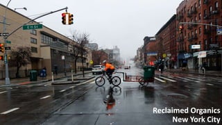 Reclaimed Organics
New York City
 