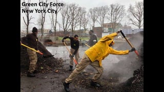 Green City Force
New York City
 