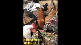 Turn Compost
Dallas, TX
 