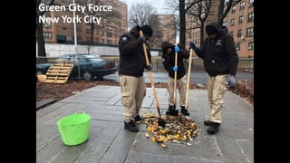 Green City Force
New York City
 