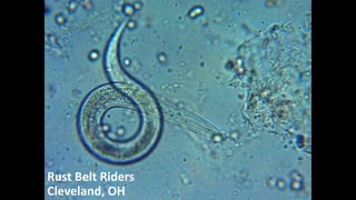 Rust Belt Riders
Cleveland, OH
 