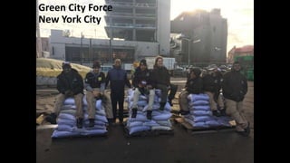 Green City Force
New York City
 