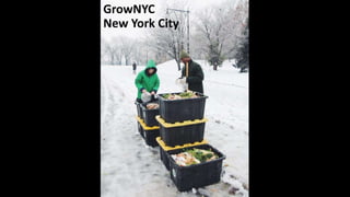GrowNYC
New York City
 