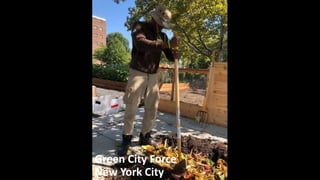 Green City Force
New York City
 