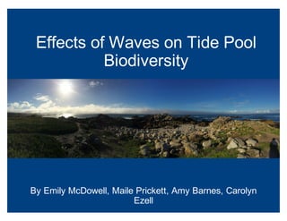 Effects of Waves on Tide Pool
Biodiversity
By Emily McDowell, Maile Prickett, Amy Barnes, Carolyn
Ezell
 