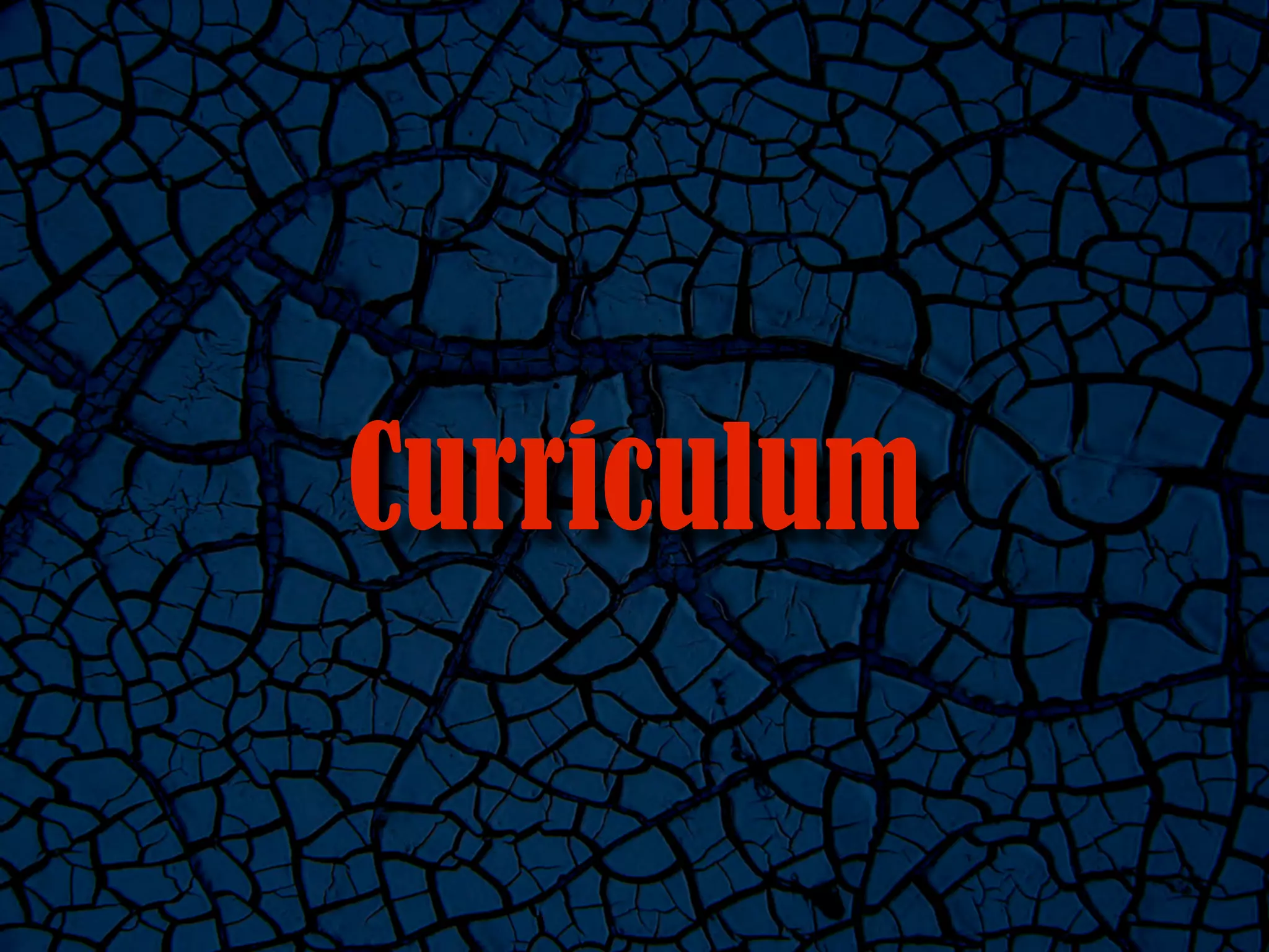 Curriculum
 