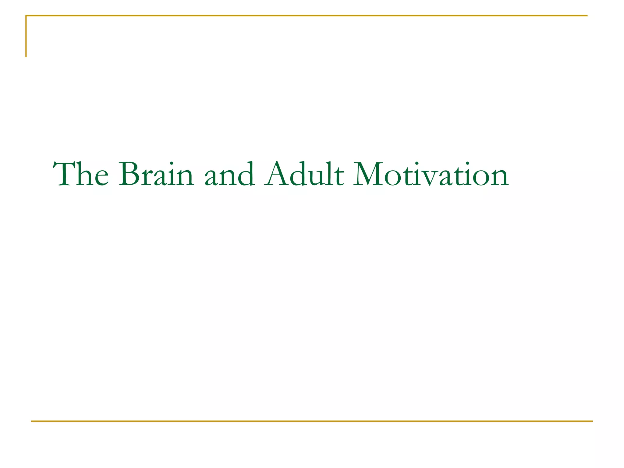 The Brain and Adult Motivation 