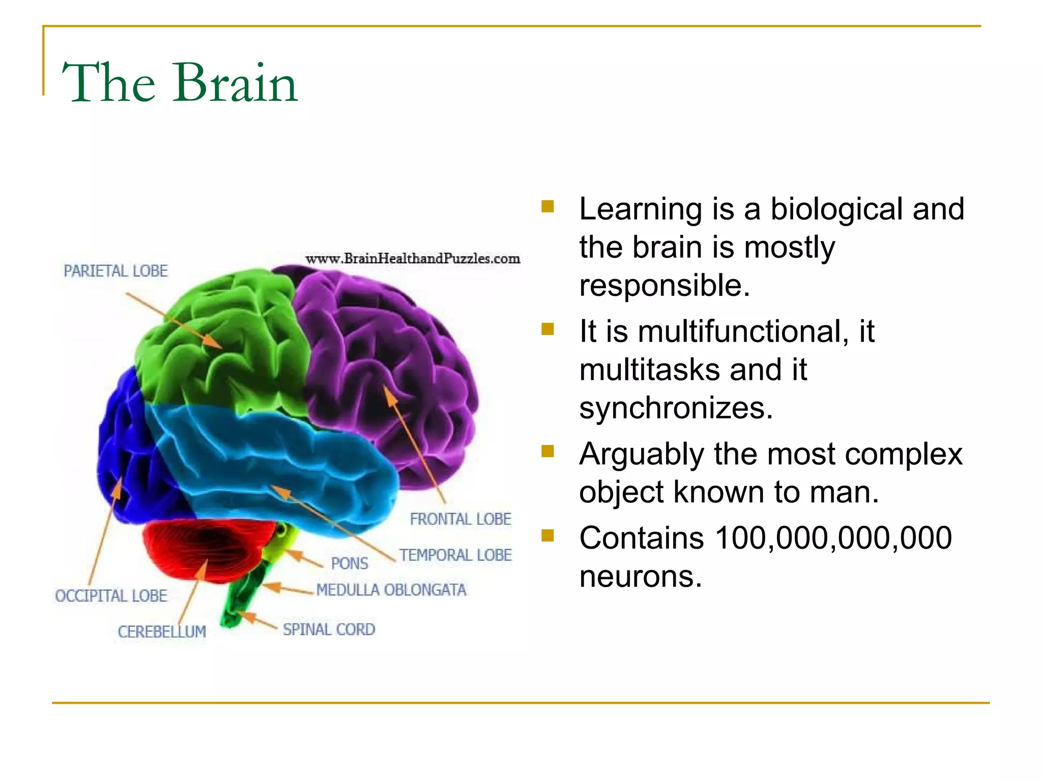 The Brain Learning is a biological and the brain is mostly responsible. It is multifunctional, it multitasks and it synchronizes. Arguably the most complex object known to man. Contains 100,000,000,000 neurons. 