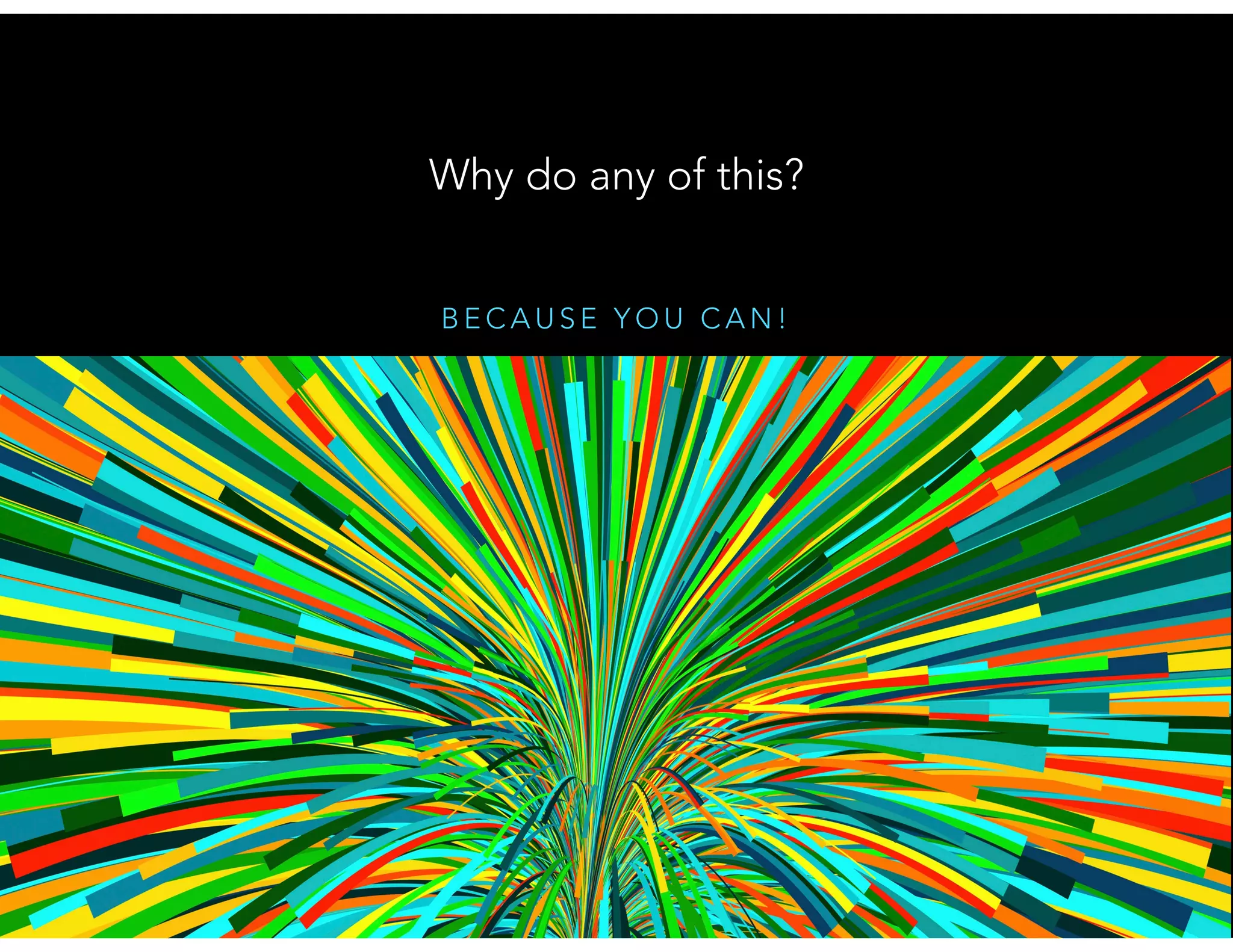 B E C A U S E Y O U C A N !
Why do any of this?
 