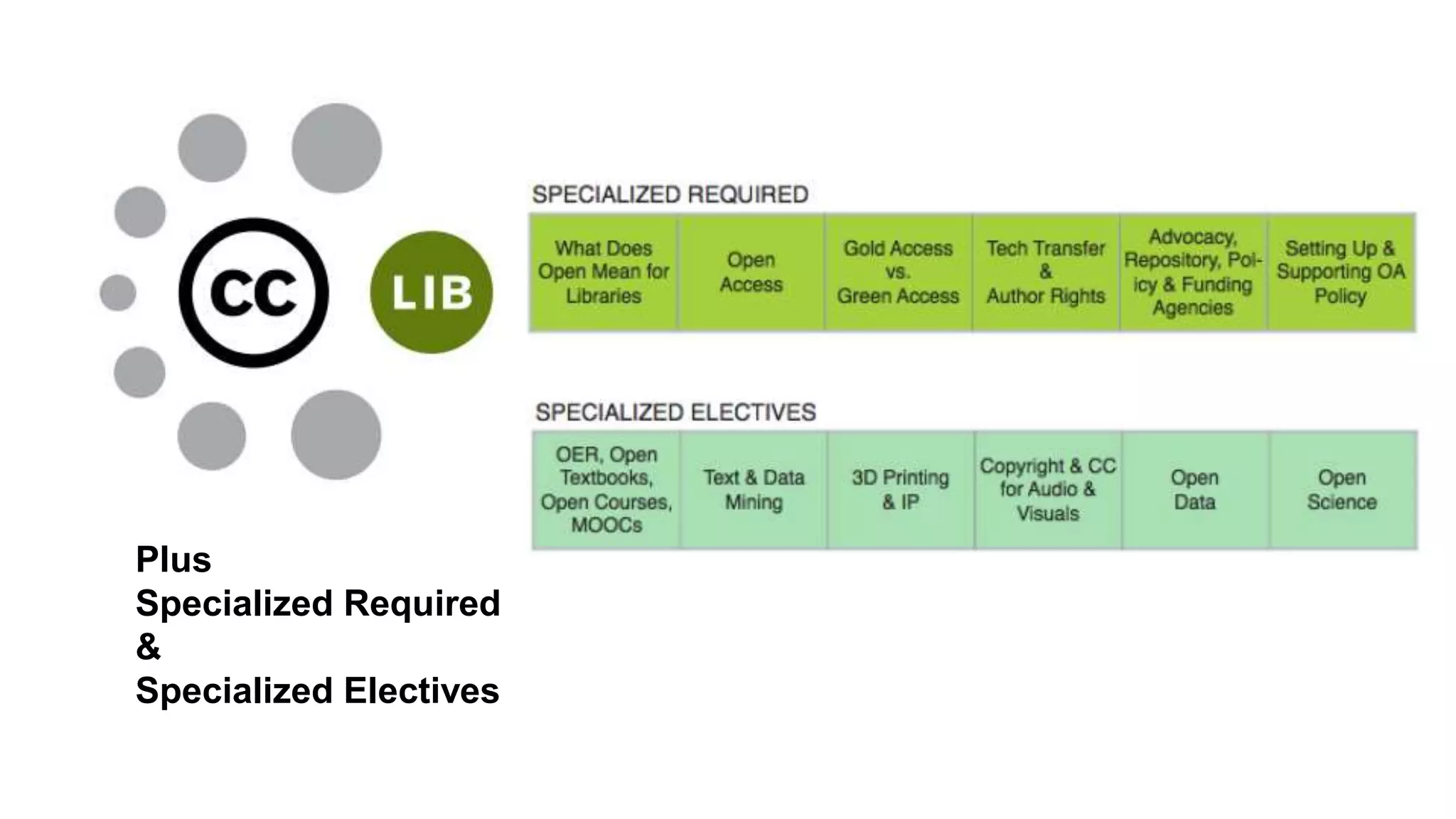 Plus
Specialized Required
&
Specialized Electives
 