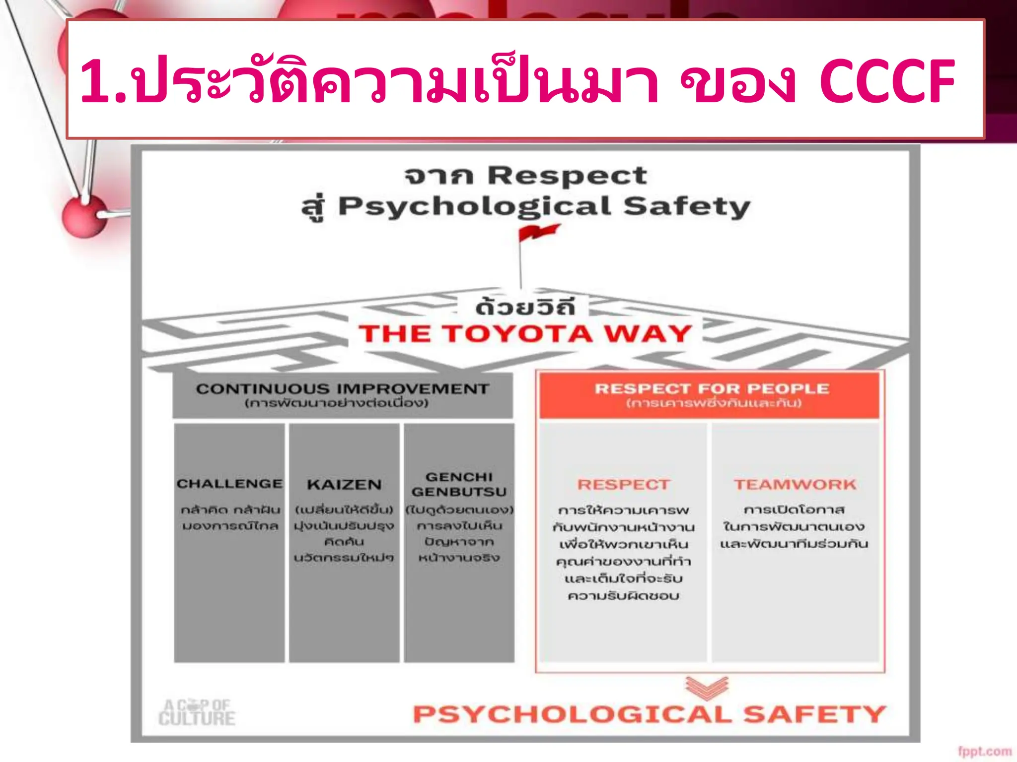 หลักสูตร CCCF CCCF CCCF CCCF Thai inter.pptx
